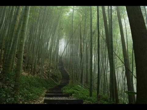 Maxnormal Tv   Love Is