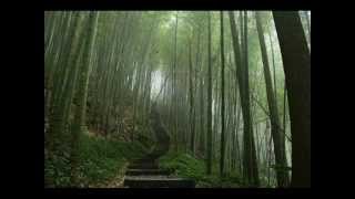 Maxnormal Tv   Love Is