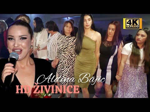 Izvorno lom kolo - HD Živinice #koncert Aldina Bajić #4k