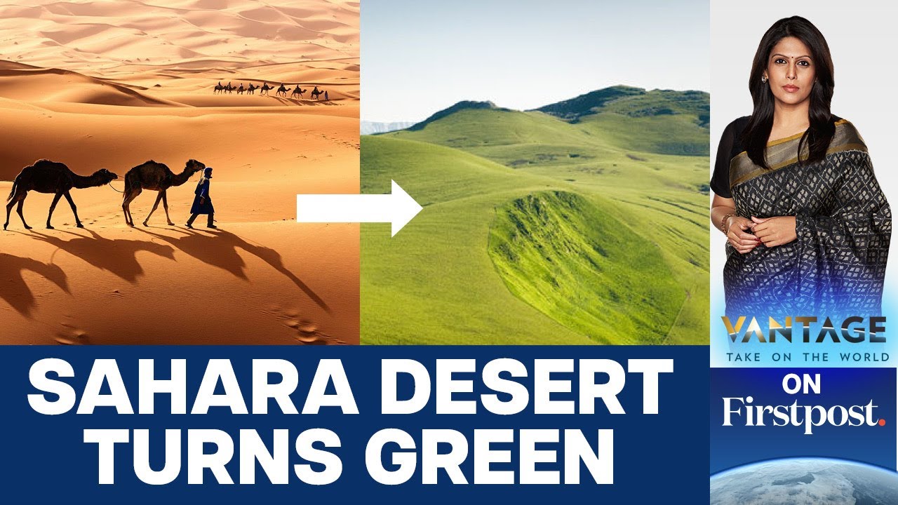 Sahara Turns Green: Should we Celebrate or Worry? | Vantage with Palki Sharma