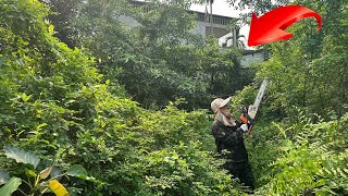 Download lagu Clean Abandoned House Full transformation cut Overgrown grass clean up garden Relax Brain mp3 Download lagu Clean Abandoned House Full transformation cut Overgrown grass clean up garden Relax Brain mp3