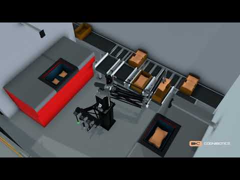 Superior AutoStore Operations: HKM1800 Pick-Place-and-Pack Robot from two carousel ports