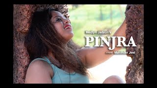Pinjra Tod Ke | Sunidhi Chauhan | Medlyn Jadaun