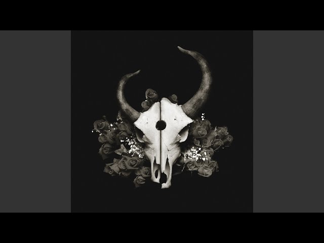 Demon Hunter