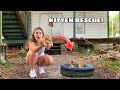 RESCUED KITTENS FOUND AT ABANDONED HOUSE! - Hannah Feder RESCUED KITTENS FOUND AT ABANDONED HOUSE!