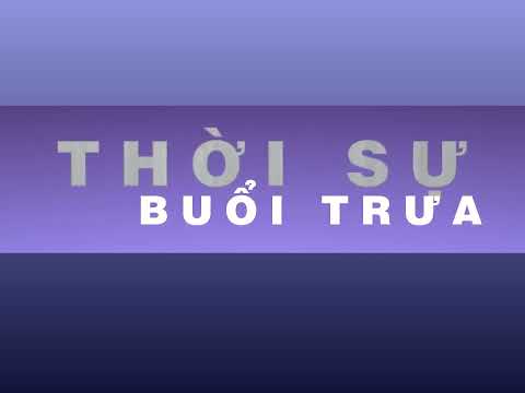 TVOI - Hình hiệu Thời sự buổi trưa (1995 - 1997)