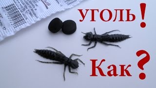 Самодельные электронные приманки для рыбалки