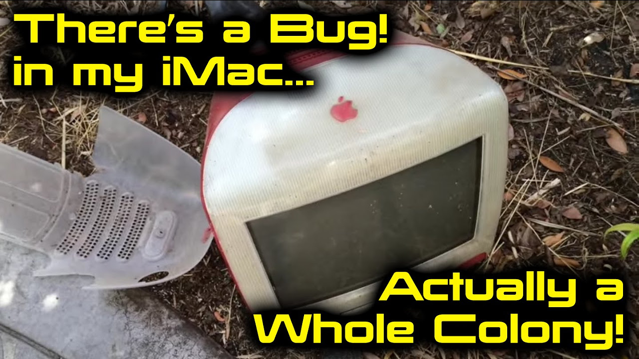 Ants Nesting in an Apple iMac G3