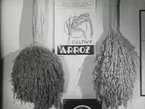 Belo Horizonte - Brazil's Planned City With a Plan Documentary