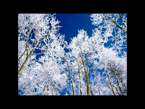 cycerin - Winterbliss