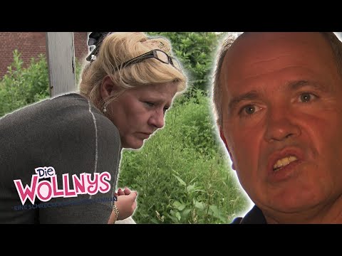 Der Hausbau wird zur Zerreißprobe 💸​😱​ | Die Wollnys  #wollnysclassics #96