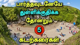 5 Most Curious Beaches in the World