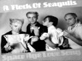A Flock Of Seagulls - MAGIC + lyrics
