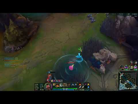 meine botlane wieder am smurfen