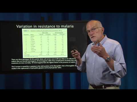 Evolutionary Thinking: Natural Selection