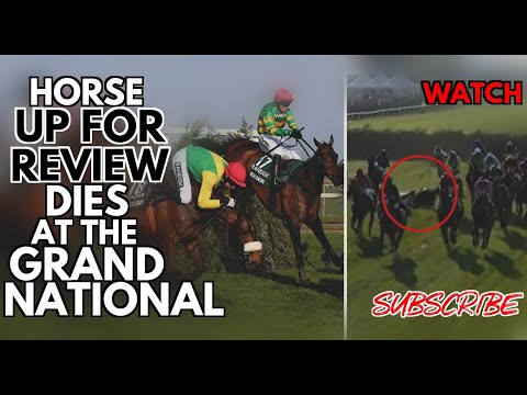 (*DISTURBING*) Horse 'Up For Review' Dies At The Grand National 2019 After Horror Fall