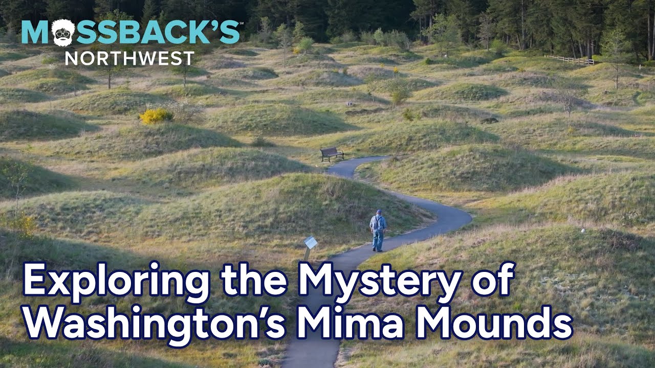 Exploring the Mystery of Washington's Mima Mounds | Mossback's Northwest