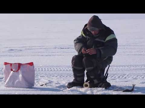 Ловим зимнего окуня на Чудском озере | В поиске трофея | Середина января 2019
