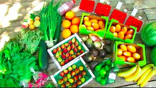 My Raw Food Grocery & Farmer's Market Haul | 40BelowFruity