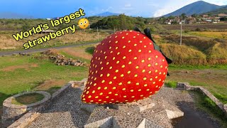 world's largest strawberry 🍓 sculpture found on google earth #googlemaps#earthsecret377