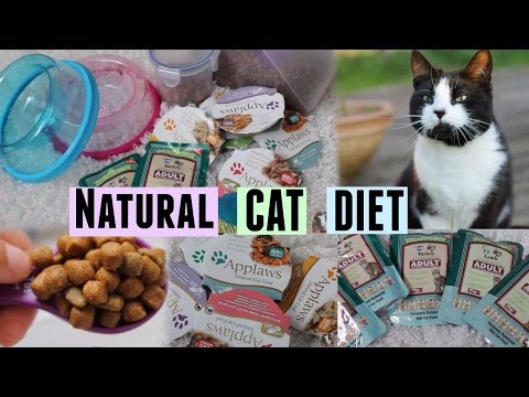 Healthy Cat Diet | July 2014