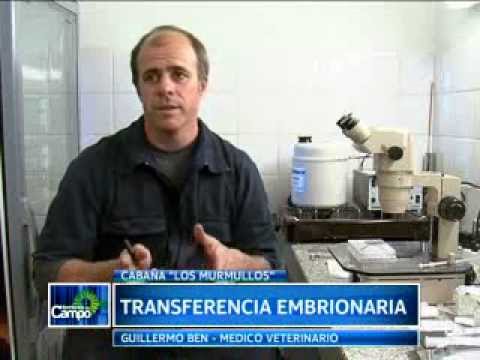 CABAÑA LOS MURMULLOS (2DA PARTE) (29/09/2013)