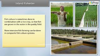 Inland Fisheries | Improvement in Food Resources | Science | Class 9th | iPrep