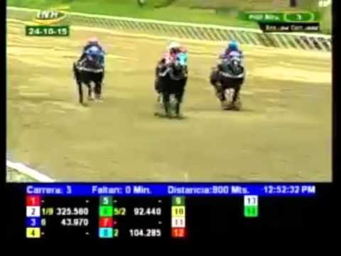 LA RINCONADA 3 CARRERA, SABADO 24 DE OCTUBRE DEL 2015