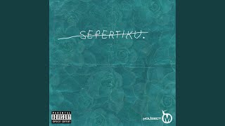 Download lagu Sepertiku mp3