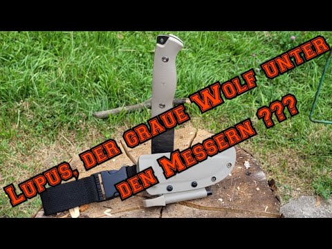 Wolfgangs LUPUS || Sind die farbenblind??
