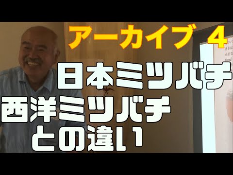 野生ミツバチとミツバチの違い 自然と動物