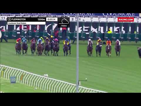 Coolmore Stud Stakes 2020 September Run