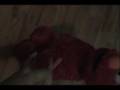 TMX Elmo Part1