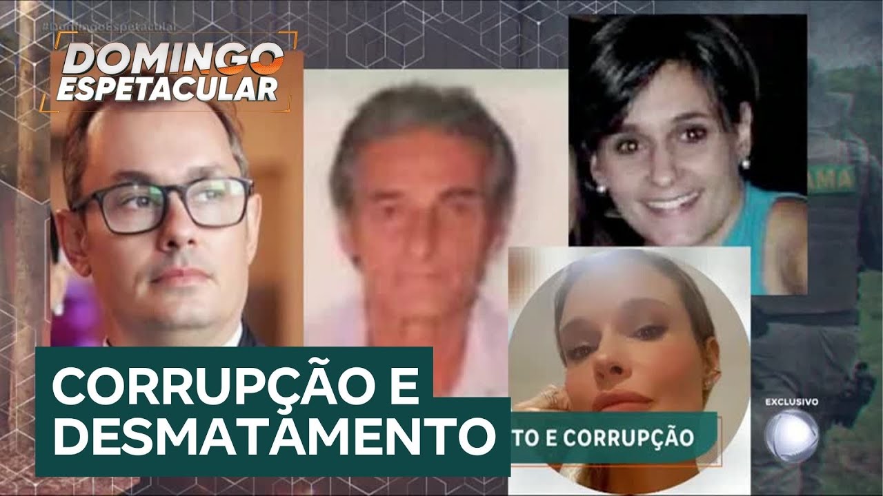 Família ligada ao maior desmatador da Amazônia usa dinheiro público para destruir floresta e lucrar
