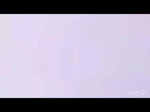 Kikoriki - Mickys grosse Reise Episode 54