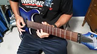 Petra - St. Augustine's Pears (guitar cover)