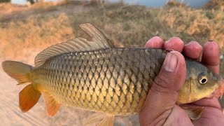Fishing video // Fish lovers fishing //  Bagal nahar par shikar // م چھ ل ی