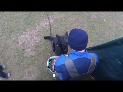 Blade vom Uetzerland