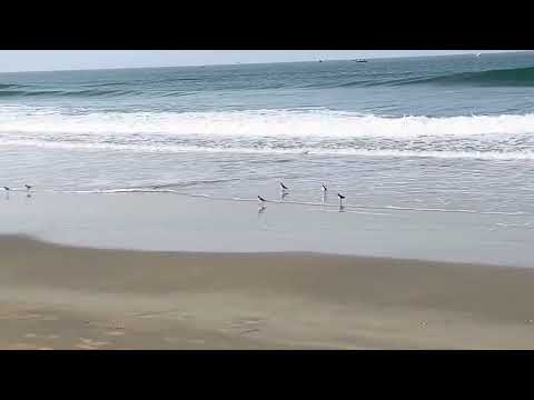 Early Morning at Varca Beach, Goa