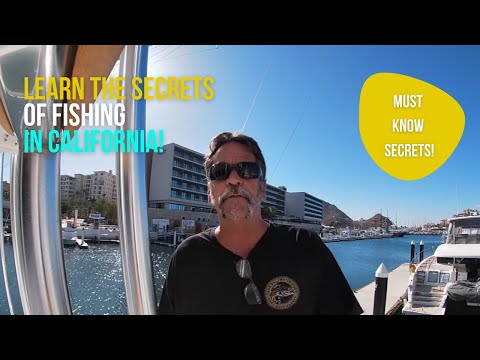 Learn The Secrets Of Saltwater Fishing In Southern California!