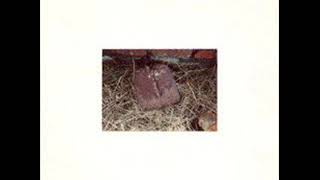 Organum & The Haters ‎- Shovels