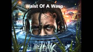 Lil Wayne - Waist Of A Wasp