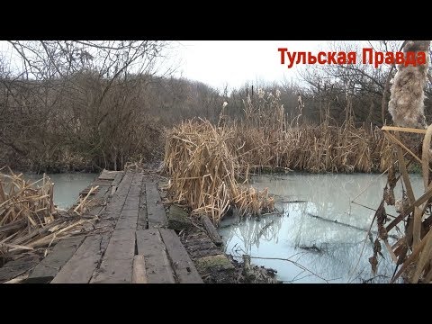 Как Любовку превратить в Грязевку? Экологическая катастрофа в Узловой