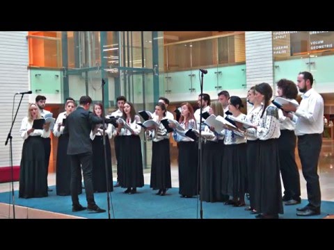 Corul Canticum - Diptic Popular din Maramureș