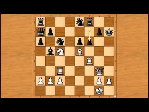 Neverovatni pritisak u napadu  - LJUBOJEViĆ vs ANDERSSON  -Sicilijanska odb. - Najlepše patije  #990