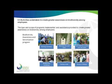 Reporting on IBBI 10 Point Declaration