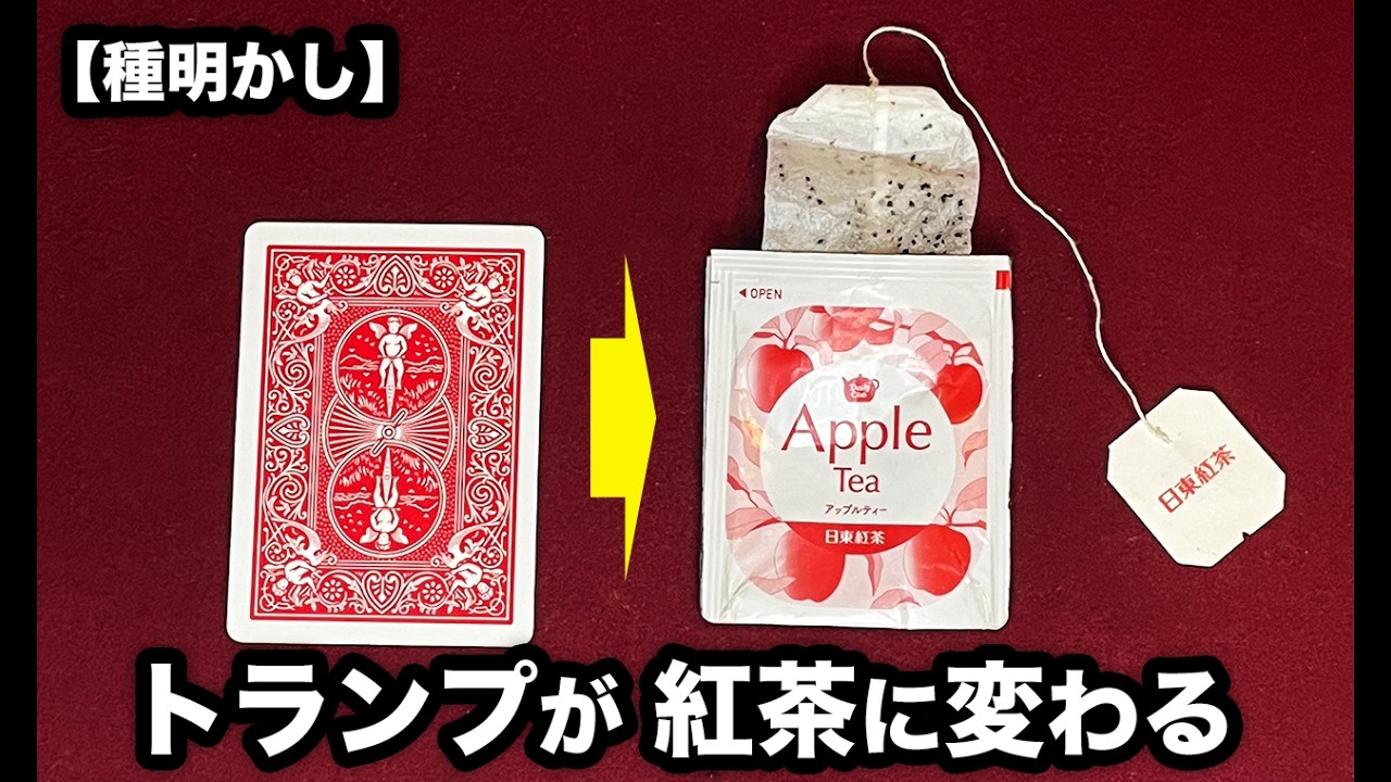 【種明かし】トランプが紅茶に変わります。