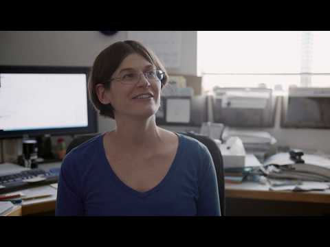 Clark Pacific - Who We Are