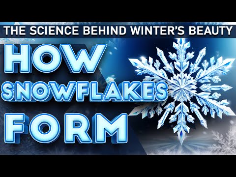 The Surprising Science of Snowflakes