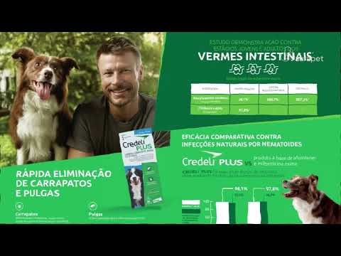 Bravecto vs Nexgard vs Simparica vs Credelio: Which one actually works?